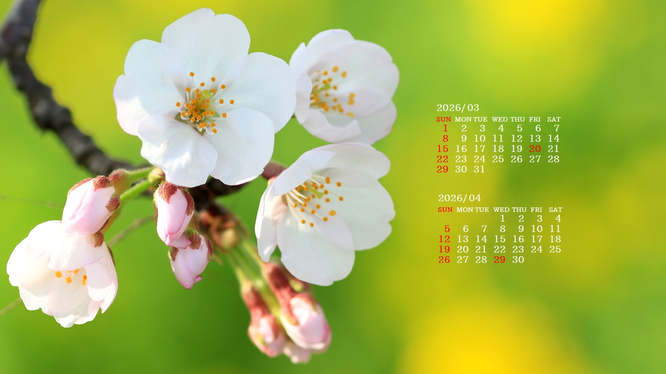 �摜�̏�ŉE�N���b�N���āu�ǎ��ɐݒ�v�A���j���[�ɂȂ��ꍇ�͂�������摜��ۑ����ĉ������B