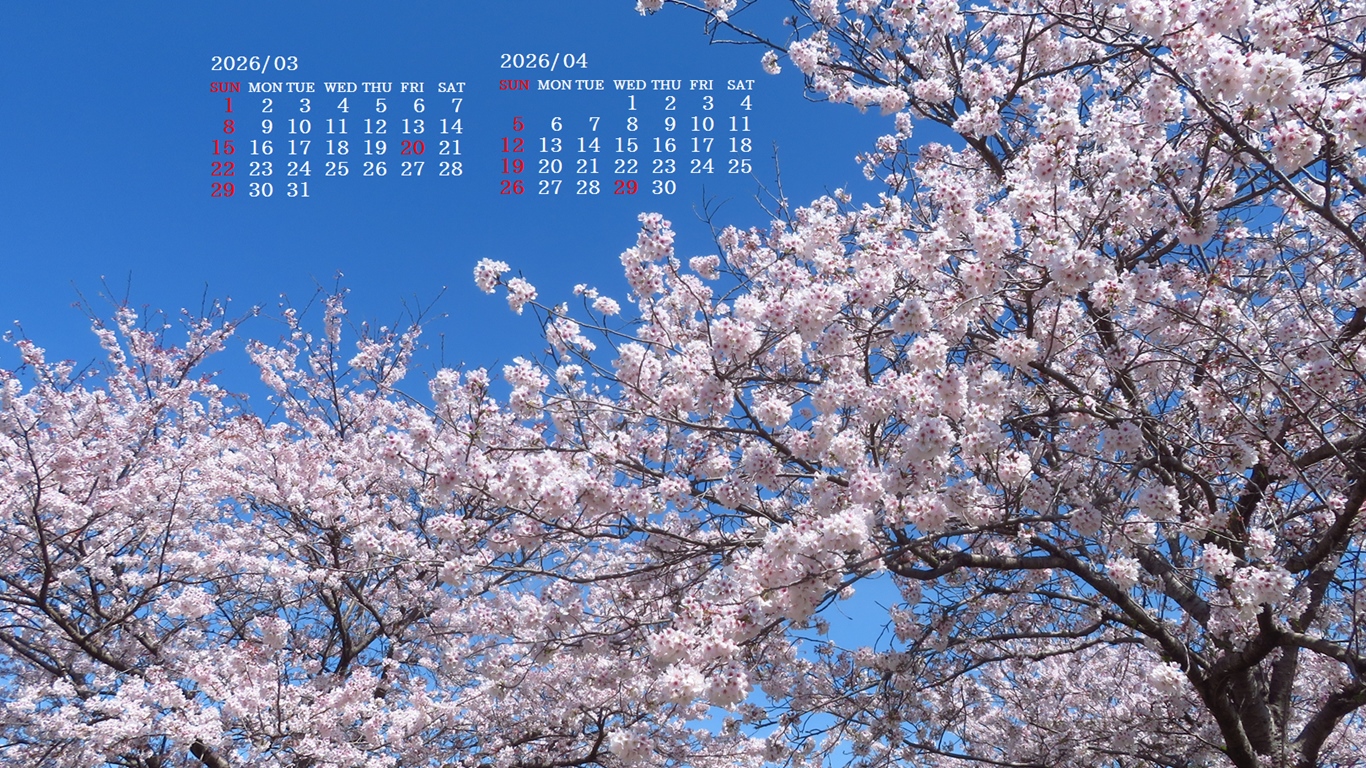 �摜�̏�ŉE�N���b�N���āu�ǎ��ɐݒ�v�A���j���[�ɂȂ��ꍇ�͂�������摜��ۑ����ĉ������B