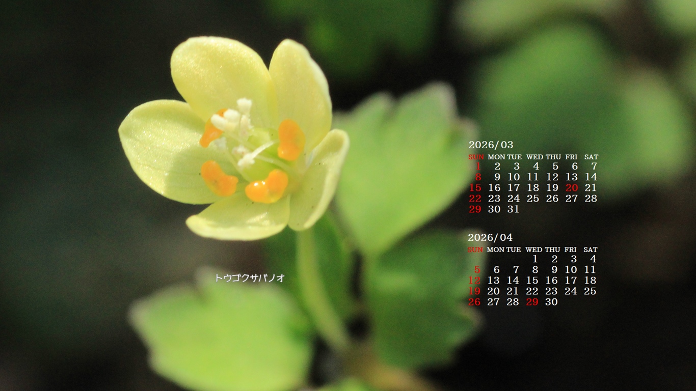 �摜�̏�ŉE�N���b�N���āu�ǎ��ɐݒ�v�A���j���[�ɂȂ��ꍇ�͂�������摜��ۑ����ĉ������B