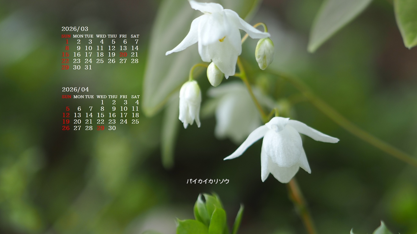 �摜�̏�ŉE�N���b�N���āu�ǎ��ɐݒ�v�A���j���[�ɂȂ��ꍇ�͂�������摜��ۑ����ĉ������B