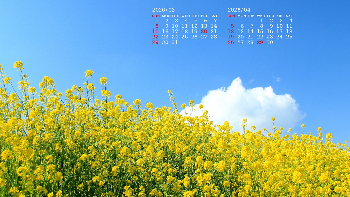 �摜�̏�ŉE�N���b�N���āu�ǎ��ɐݒ�v�A���j���[�ɂȂ��ꍇ�͂�������摜��ۑ����ĉ������B