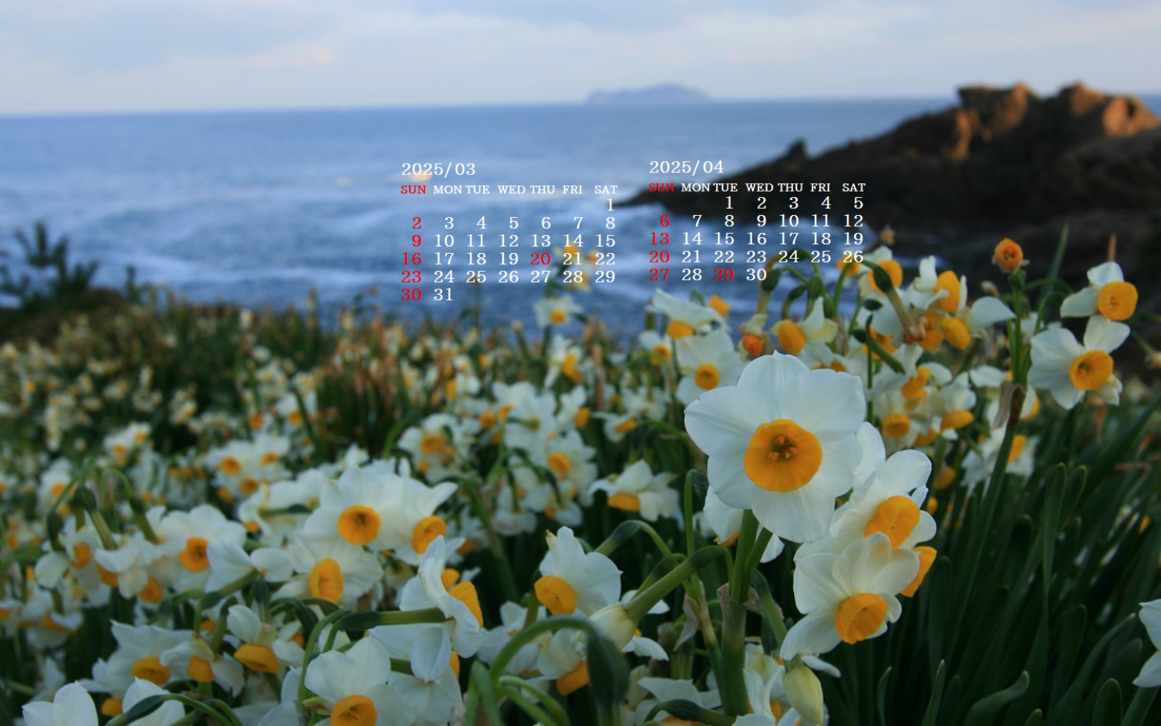摜̏ŉENbNāuǎɐݒvAj[ɂȂꍇ͂摜ۑĉB