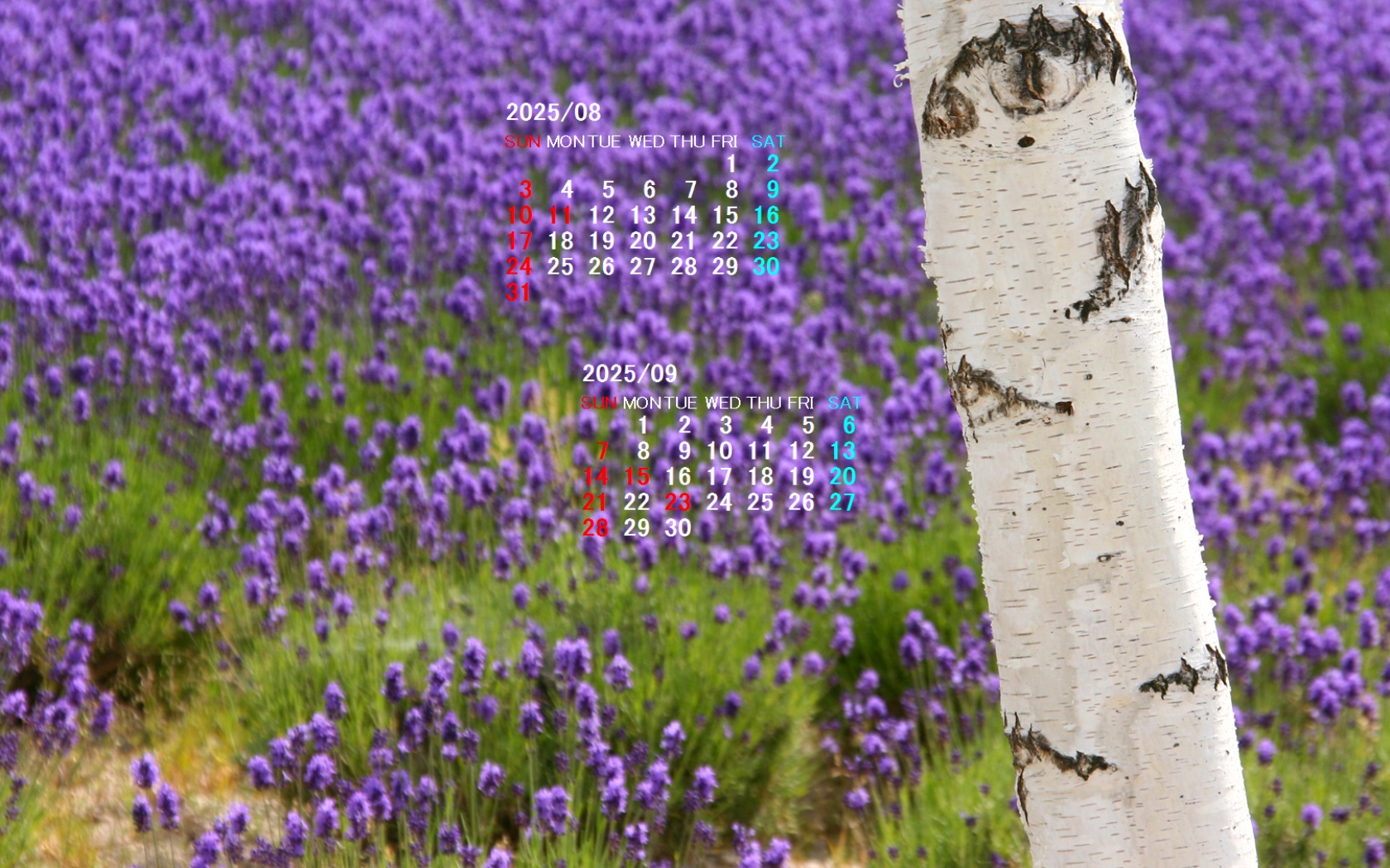 摜̏ŉENbNāuǎɐݒvAj[ɂȂꍇ͂摜ۑĉB