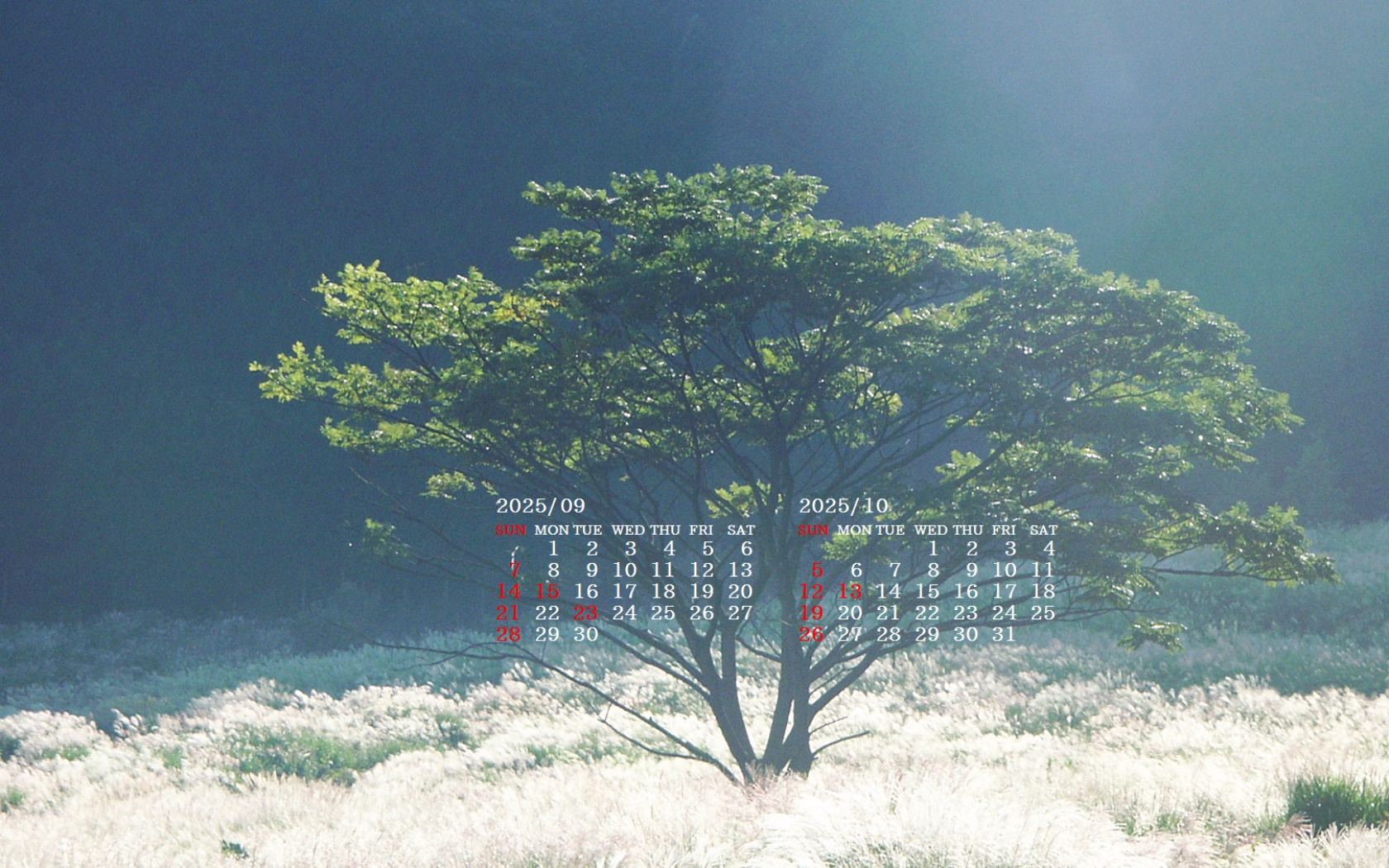 摜̏ŉENbNāuǎɐݒvAj[ɂȂꍇ͂摜ۑĉB
