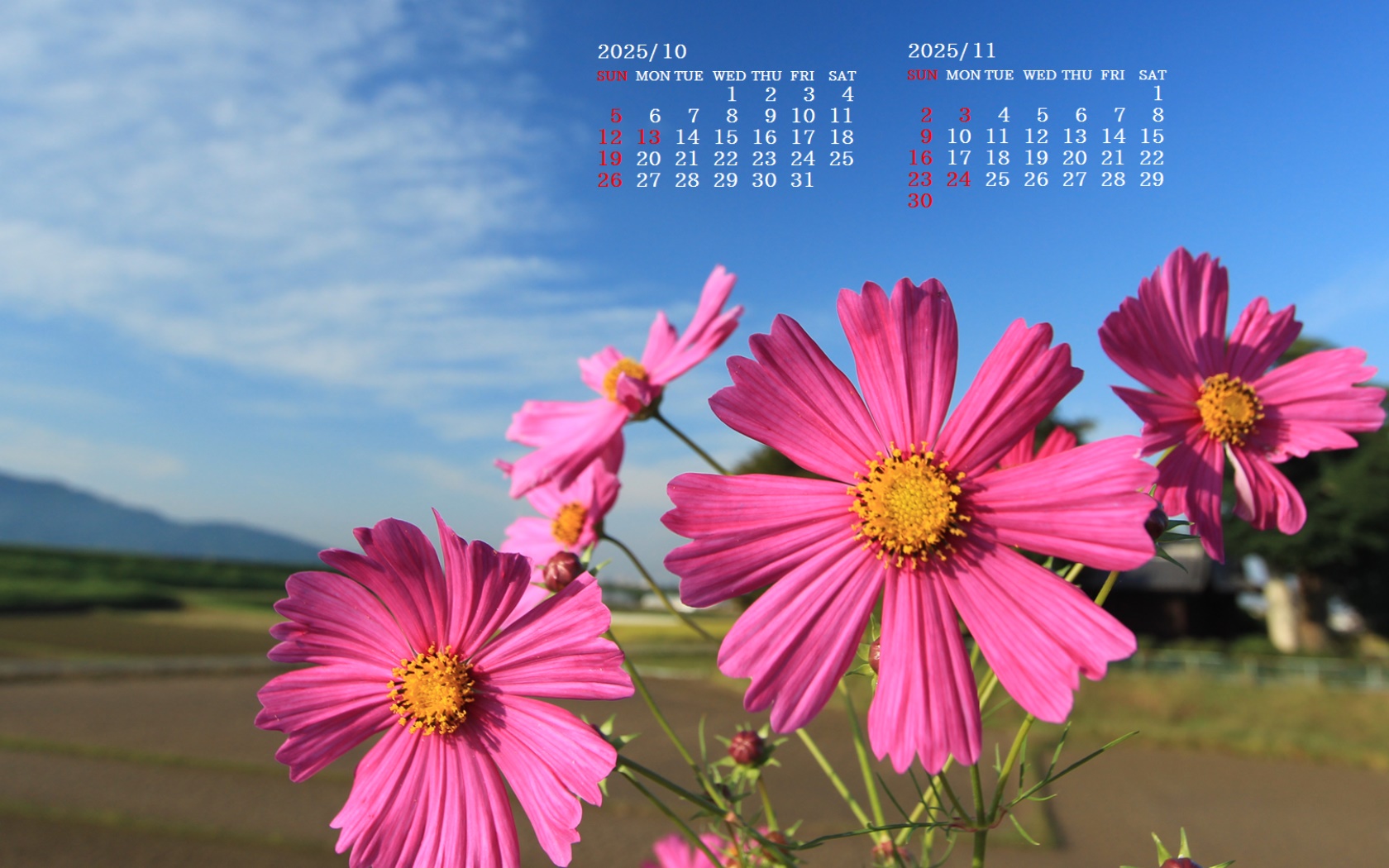 摜̏ŉENbNāuǎɐݒvAj[ɂȂꍇ͂摜ۑĉB