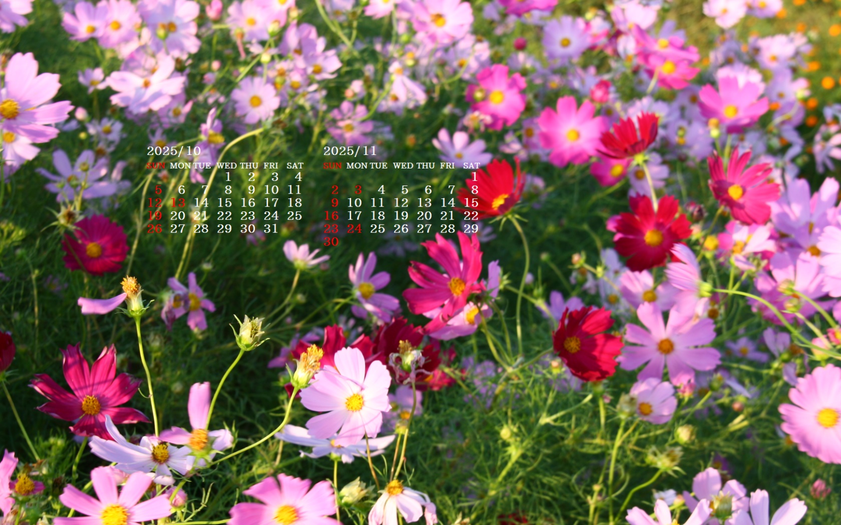 摜̏ŉENbNāuǎɐݒvAj[ɂȂꍇ͂摜ۑĉB