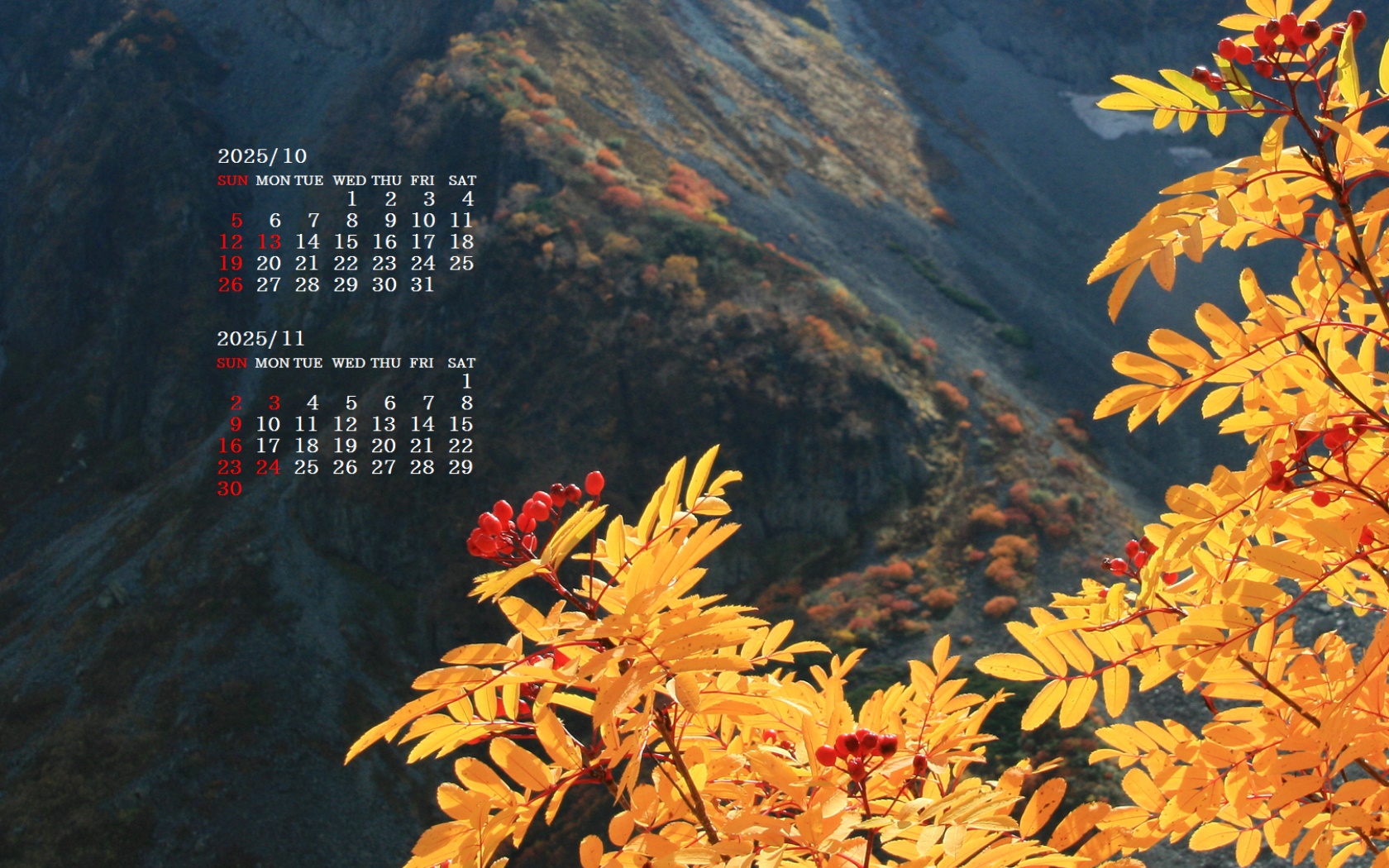 摜̏ŉENbNāuǎɐݒvAj[ɂȂꍇ͂摜ۑĉB