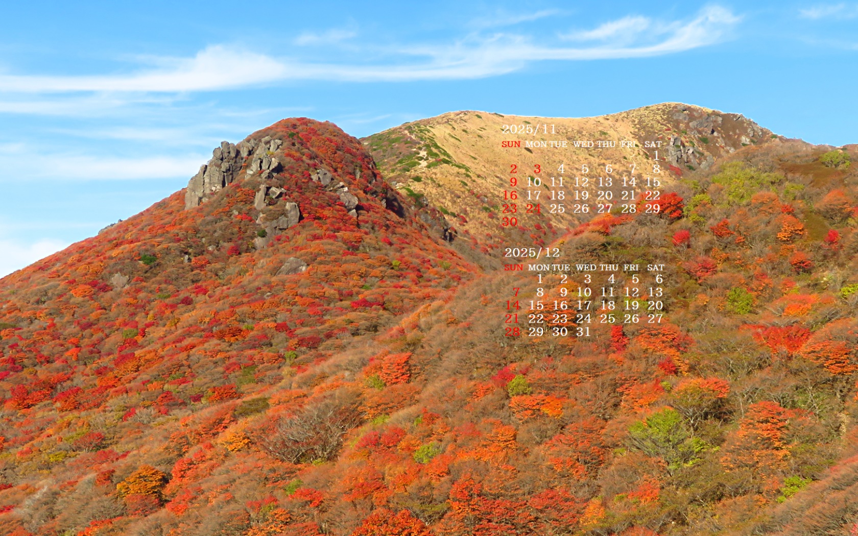 摜̏ŉENbNāuǎɐݒvAj[ɂȂꍇ͂摜ۑĉB