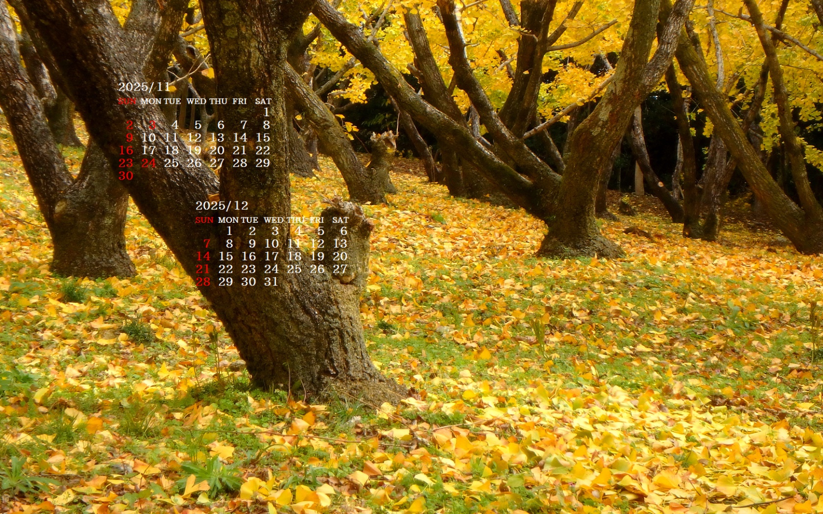 摜̏ŉENbNāuǎɐݒvAj[ɂȂꍇ͂摜ۑĉB