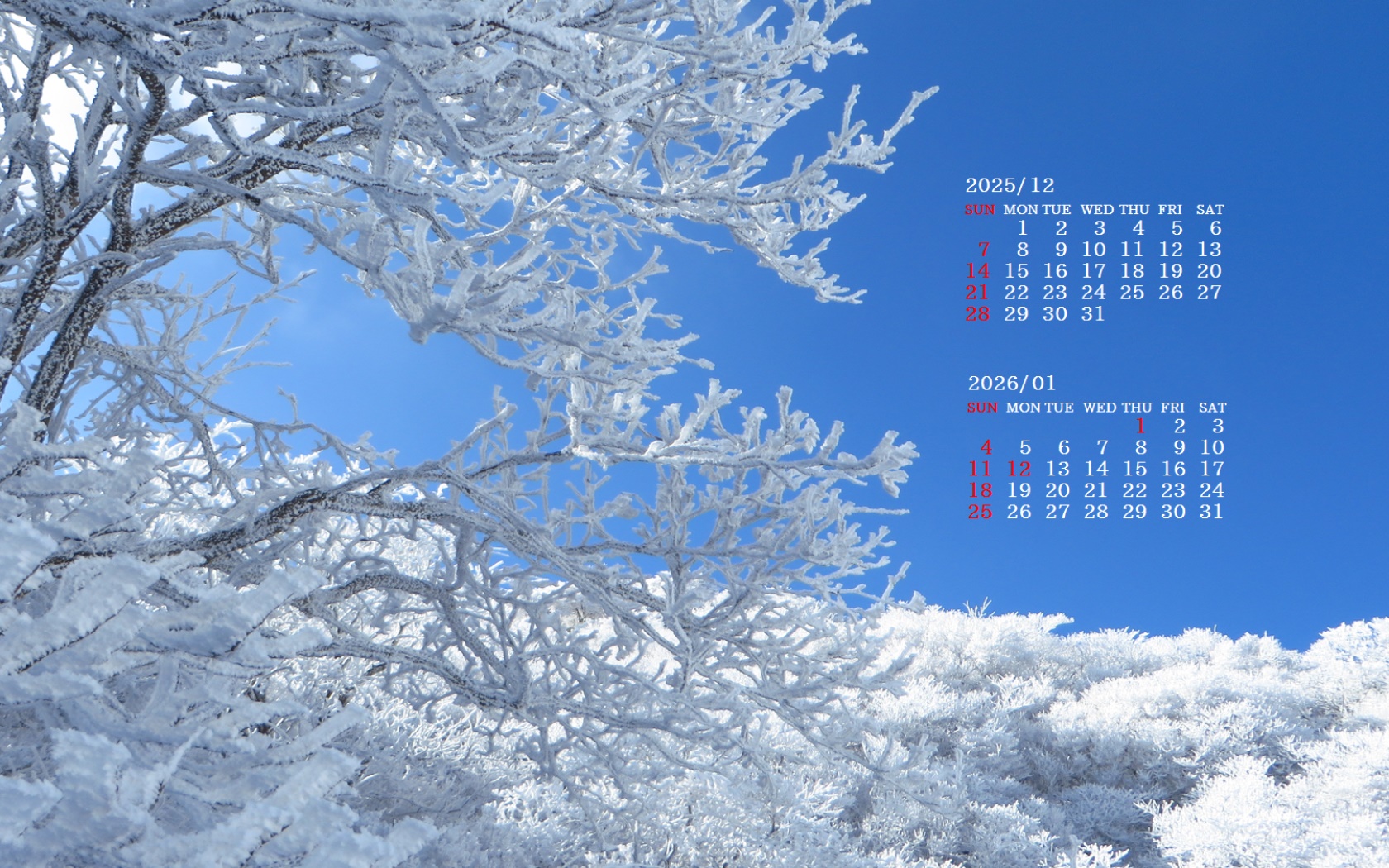 摜̏ŉENbNāuǎɐݒvAj[ɂȂꍇ͂摜ۑĉB