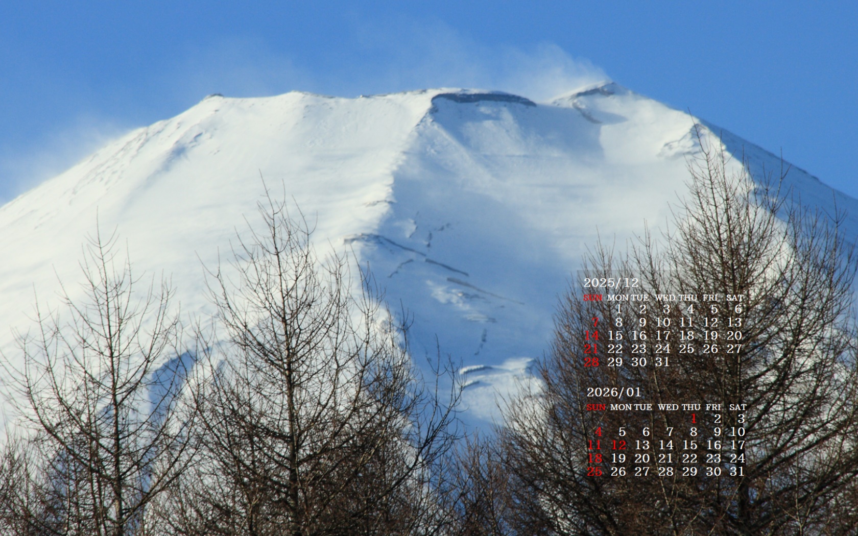 摜̏ŉENbNāuǎɐݒvAj[ɂȂꍇ͂摜ۑĉB