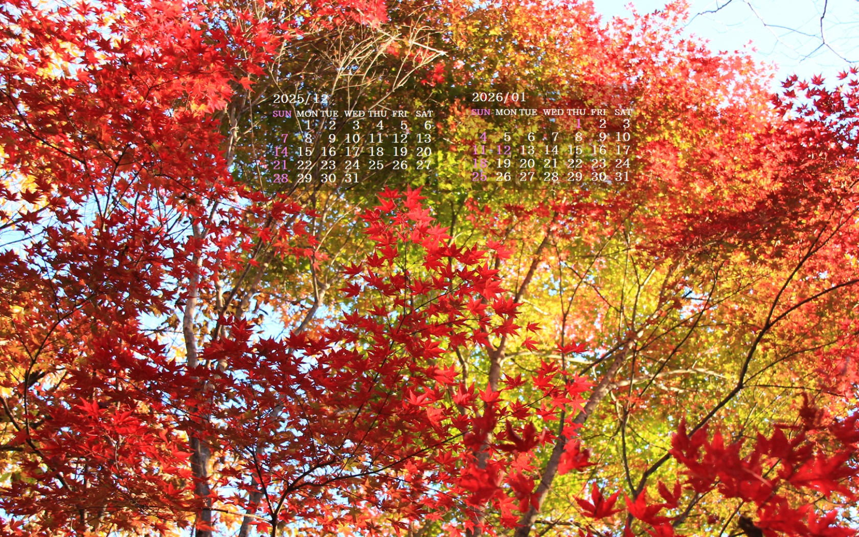 摜̏ŉENbNāuǎɐݒvAj[ɂȂꍇ͂摜ۑĉB