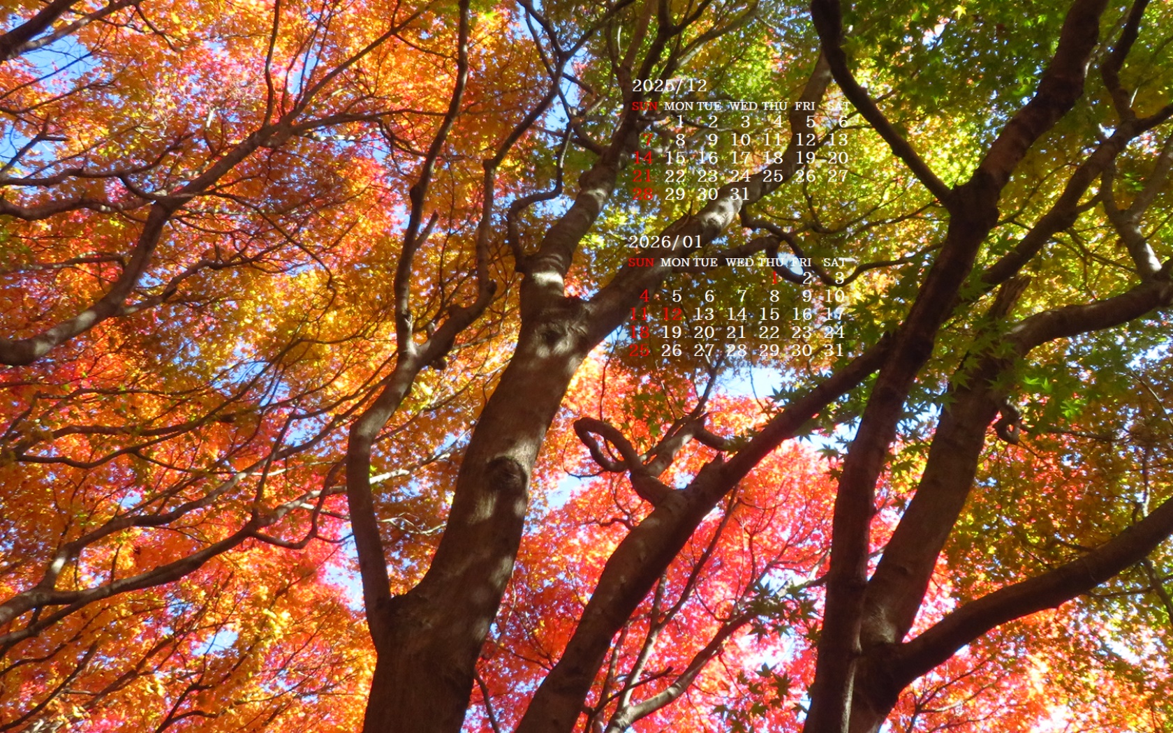 �摜�̏�ŉE�N���b�N���āu�ǎ��ɐݒ�v�A���j���[�ɂȂ��ꍇ�͂�������摜��ۑ����ĉ������B