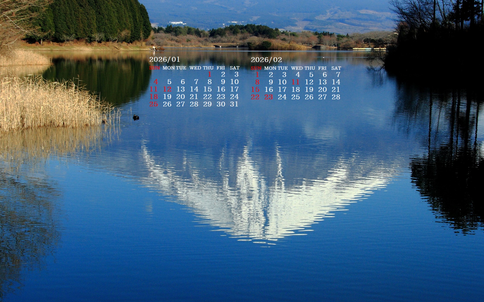 �摜�̏�ŉE�N���b�N���āu�ǎ��ɐݒ�v�A���j���[�ɂȂ��ꍇ�͂�������摜��ۑ����ĉ������B