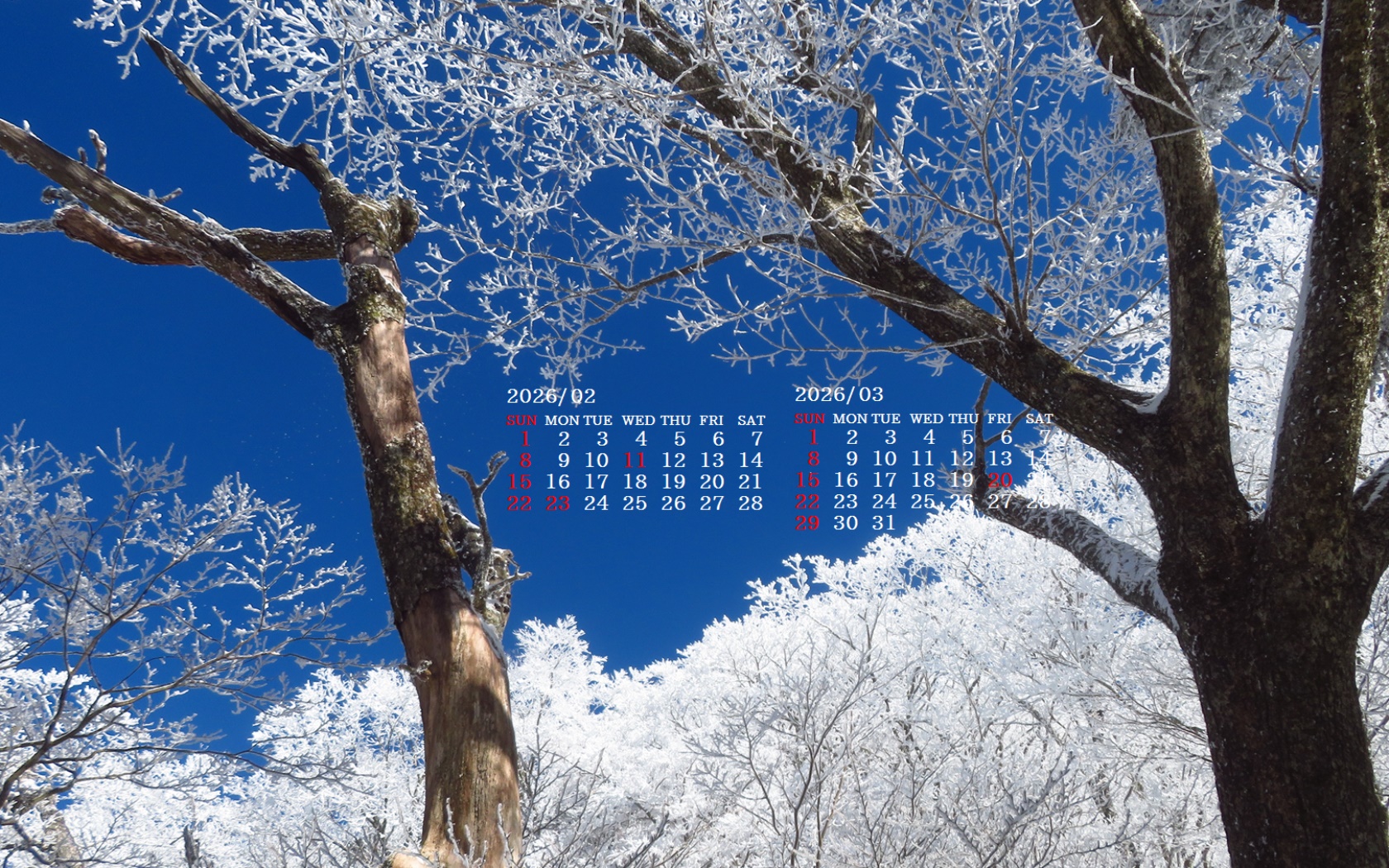 �摜�̏�ŉE�N���b�N���āu�ǎ��ɐݒ�v�A���j���[�ɂȂ��ꍇ�͂�������摜��ۑ����ĉ������B