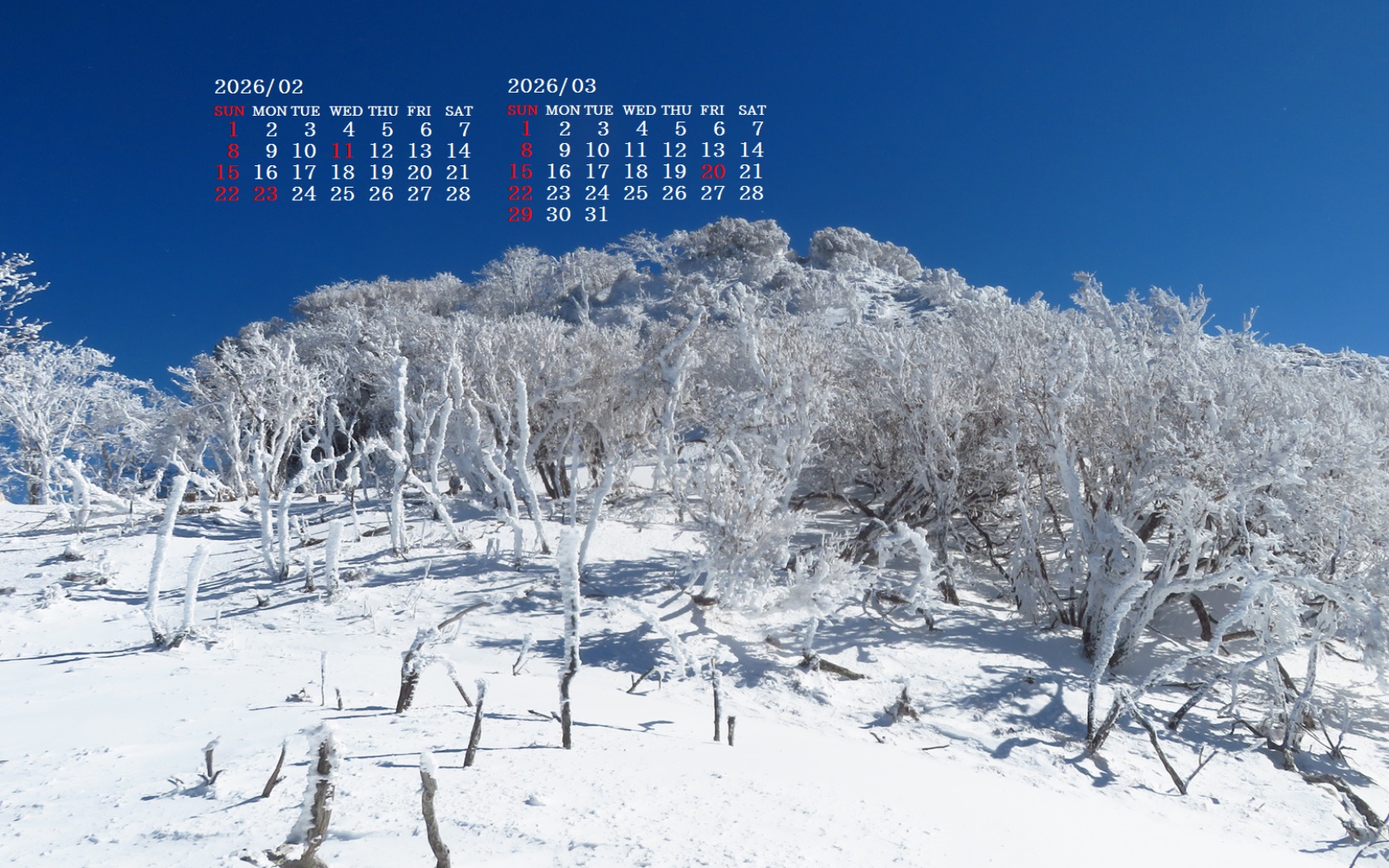 �摜�̏�ŉE�N���b�N���āu�ǎ��ɐݒ�v�A���j���[�ɂȂ��ꍇ�͂�������摜��ۑ����ĉ������B