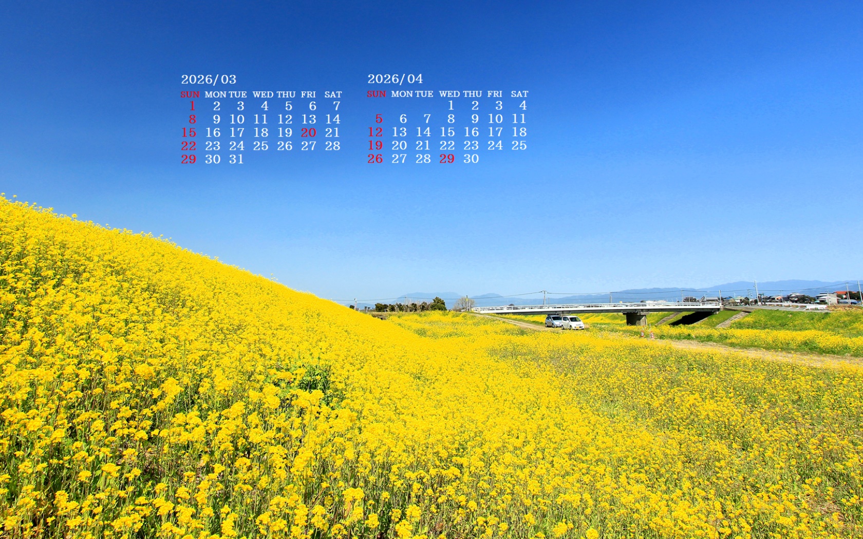 �摜�̏�ŉE�N���b�N���āu�ǎ��ɐݒ�v�A���j���[�ɂȂ��ꍇ�͂�������摜��ۑ����ĉ������B