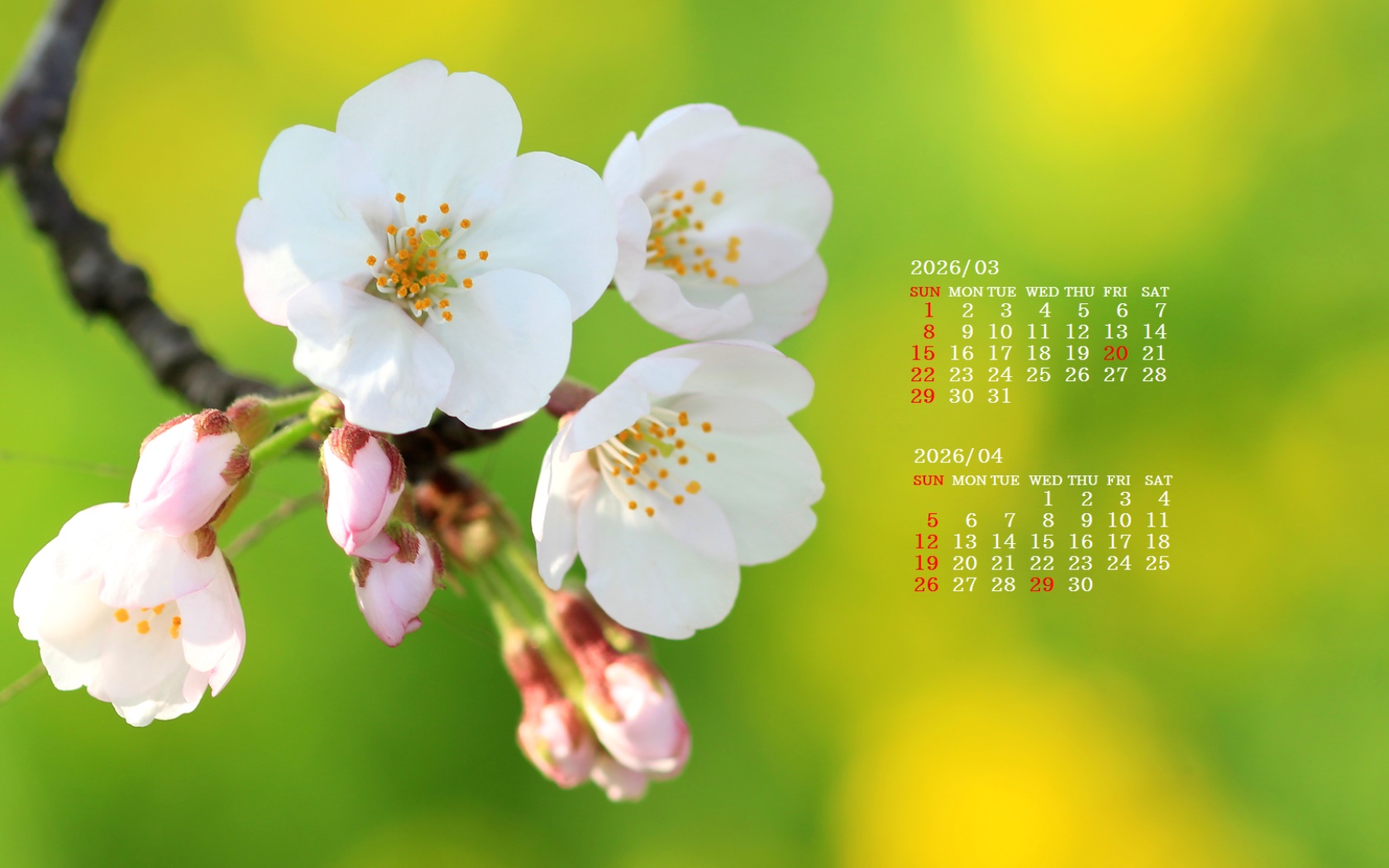 �摜�̏�ŉE�N���b�N���āu�ǎ��ɐݒ�v�A���j���[�ɂȂ��ꍇ�͂�������摜��ۑ����ĉ������B