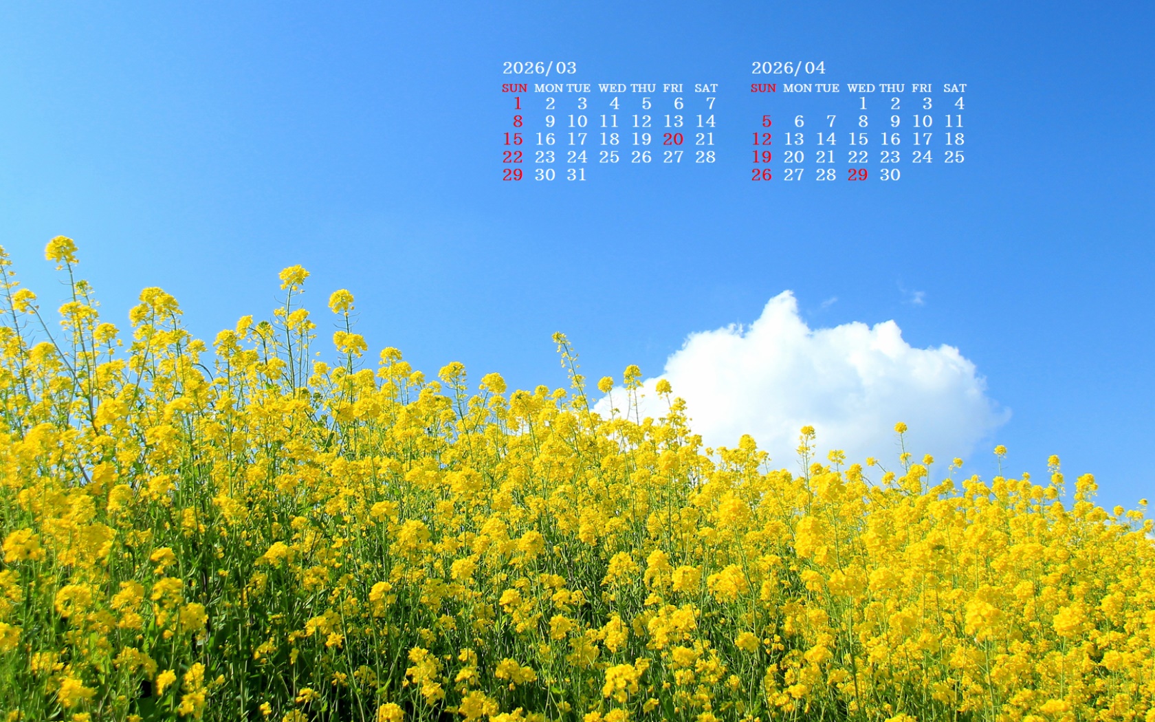 �摜�̏�ŉE�N���b�N���āu�ǎ��ɐݒ�v�A���j���[�ɂȂ��ꍇ�͂�������摜��ۑ����ĉ������B