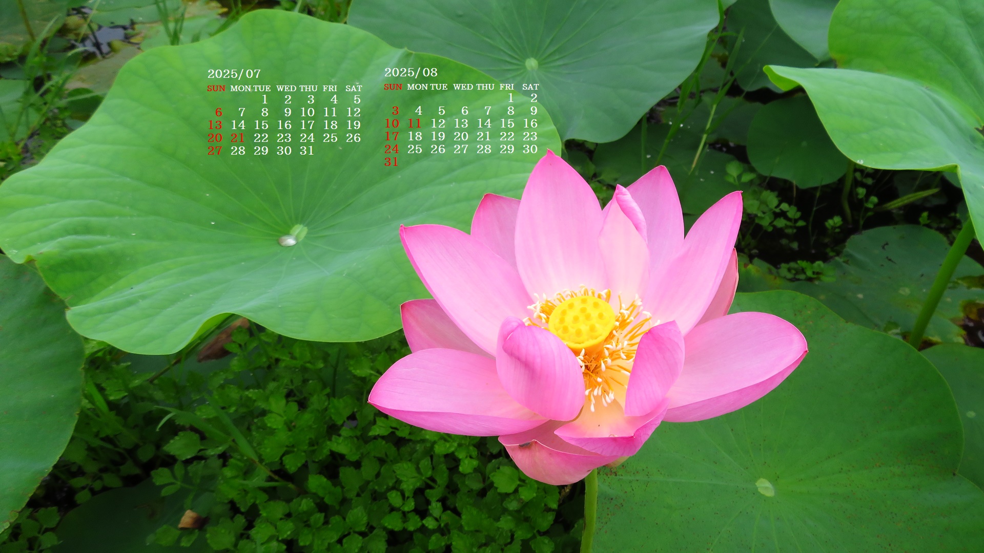 摜̏ŉENbNāuǎɐݒvAj[ɂȂꍇ͂摜ۑĉB