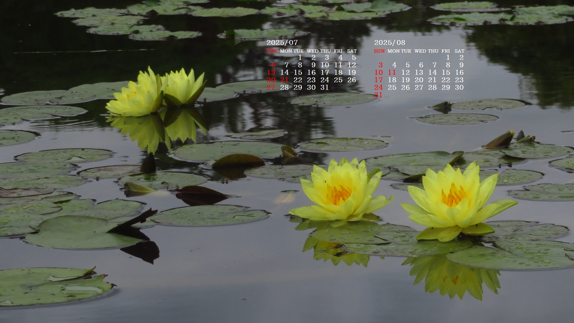 摜̏ŉENbNāuǎɐݒvAj[ɂȂꍇ͂摜ۑĉB