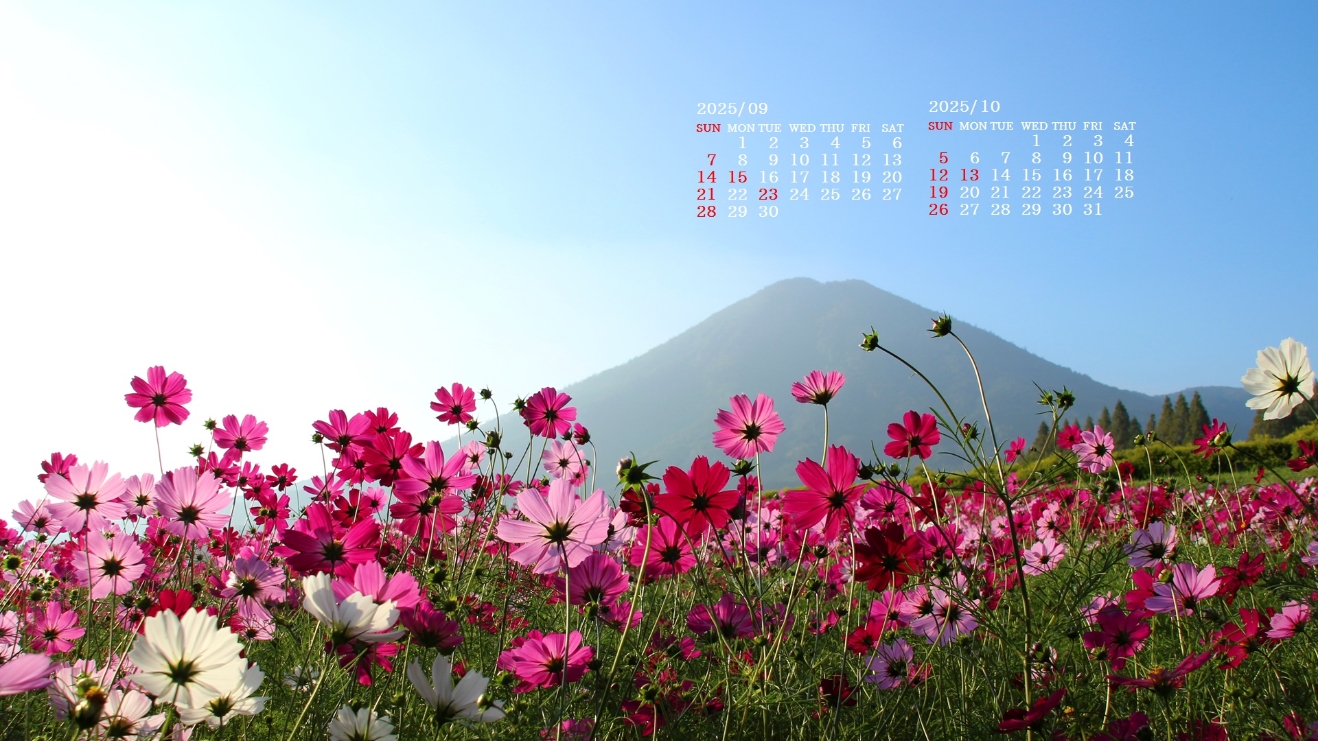 摜̏ŉENbNāuǎɐݒvAj[ɂȂꍇ͂摜ۑĉB