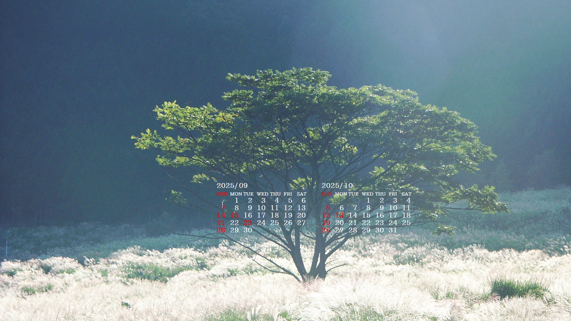 摜̏ŉENbNāuǎɐݒvAj[ɂȂꍇ͂摜ۑĉB