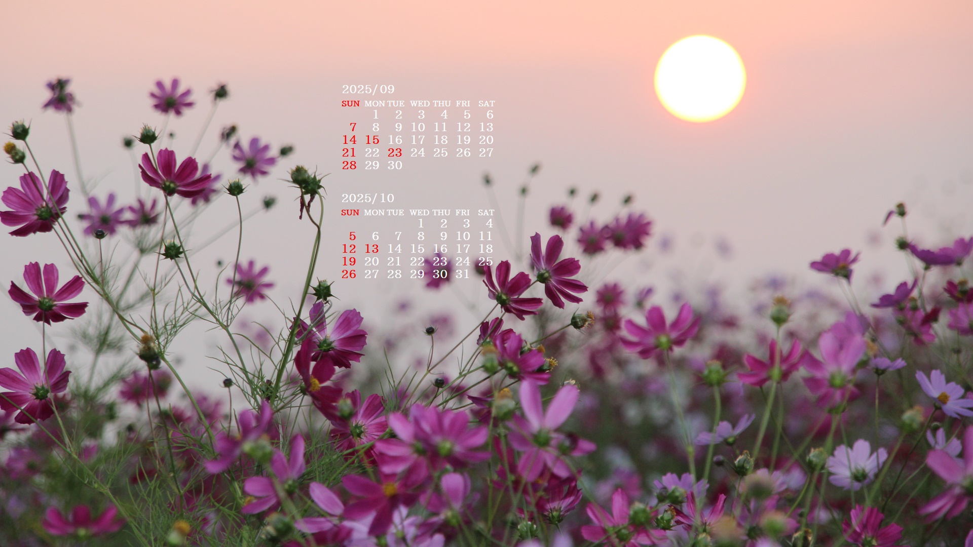 摜̏ŉENbNāuǎɐݒvAj[ɂȂꍇ͂摜ۑĉB
