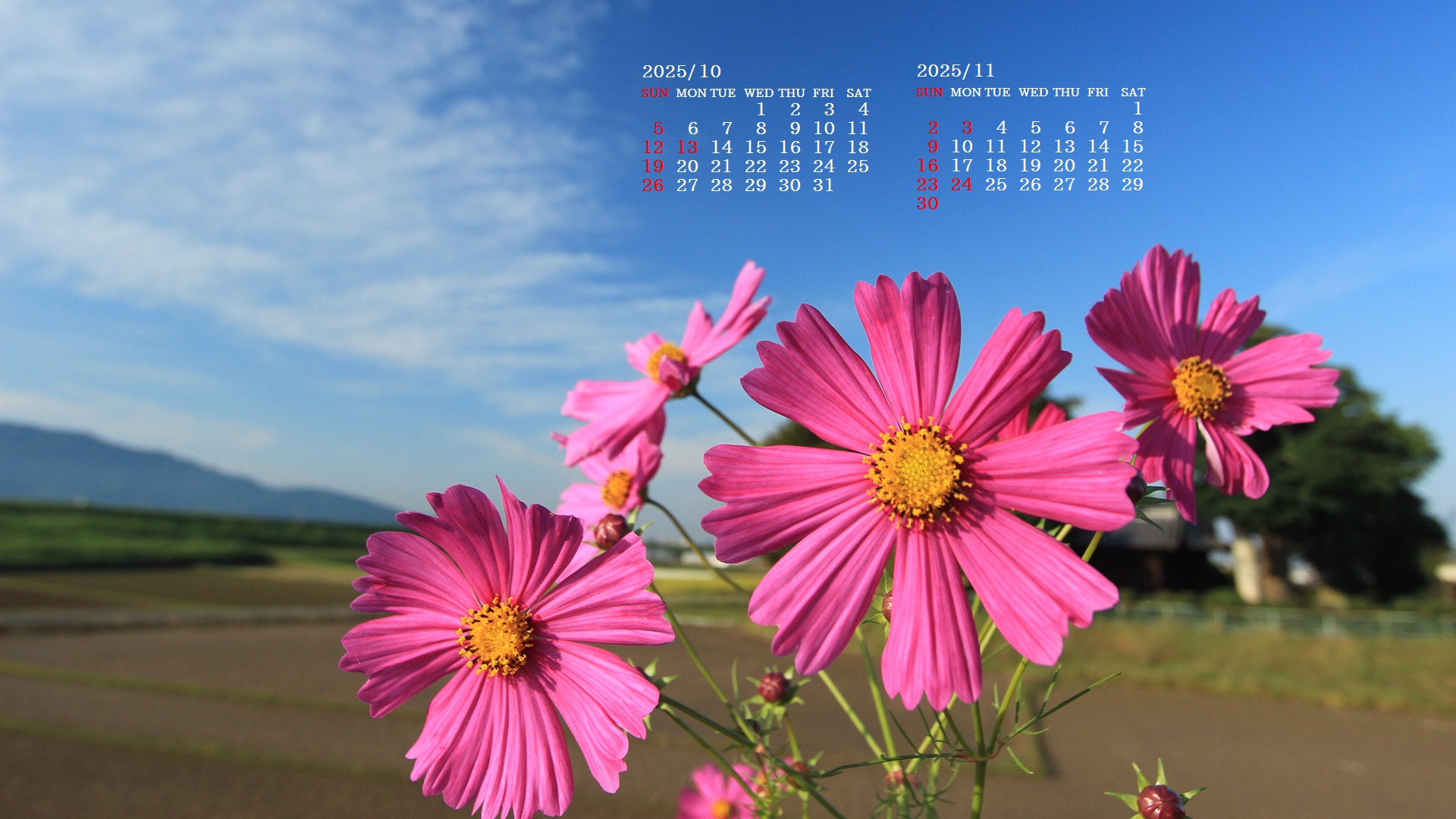 摜̏ŉENbNāuǎɐݒvAj[ɂȂꍇ͂摜ۑĉB