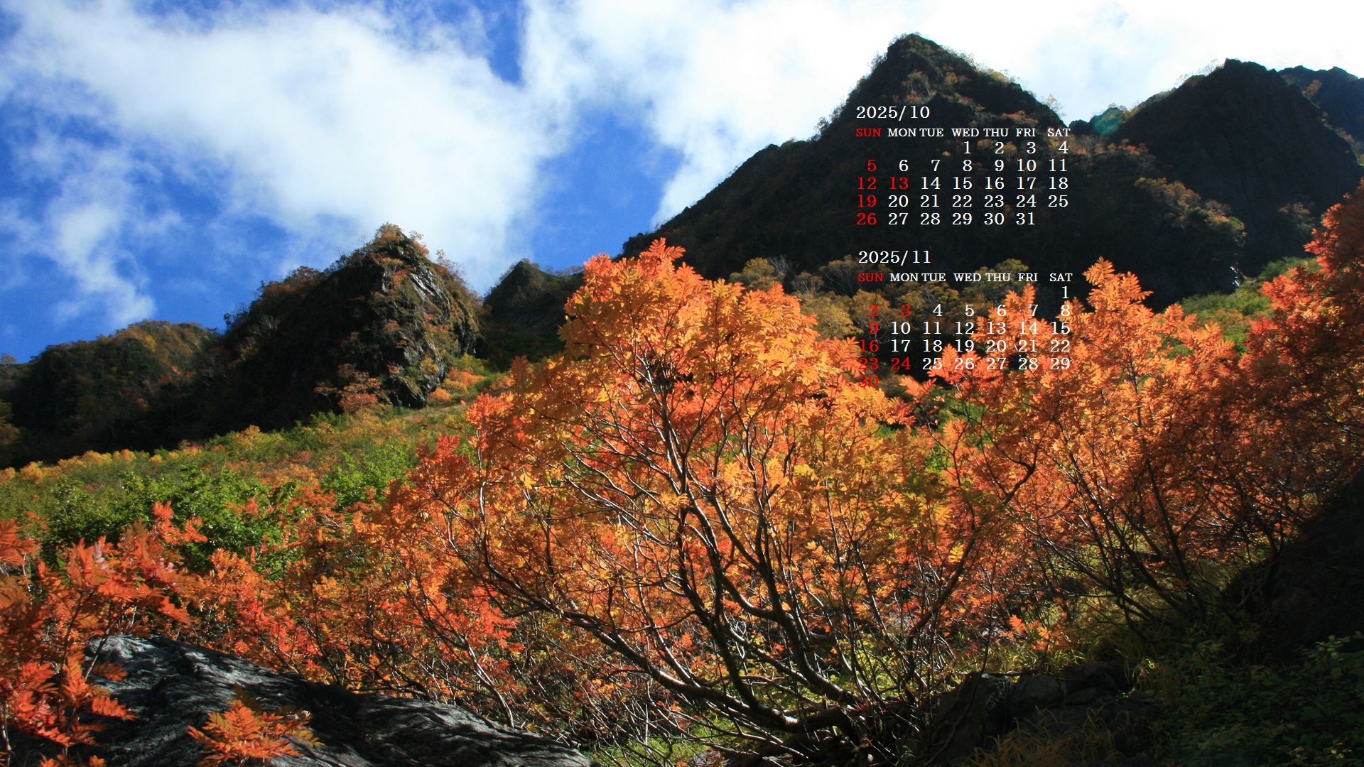 摜̏ŉENbNāuǎɐݒvAj[ɂȂꍇ͂摜ۑĉB