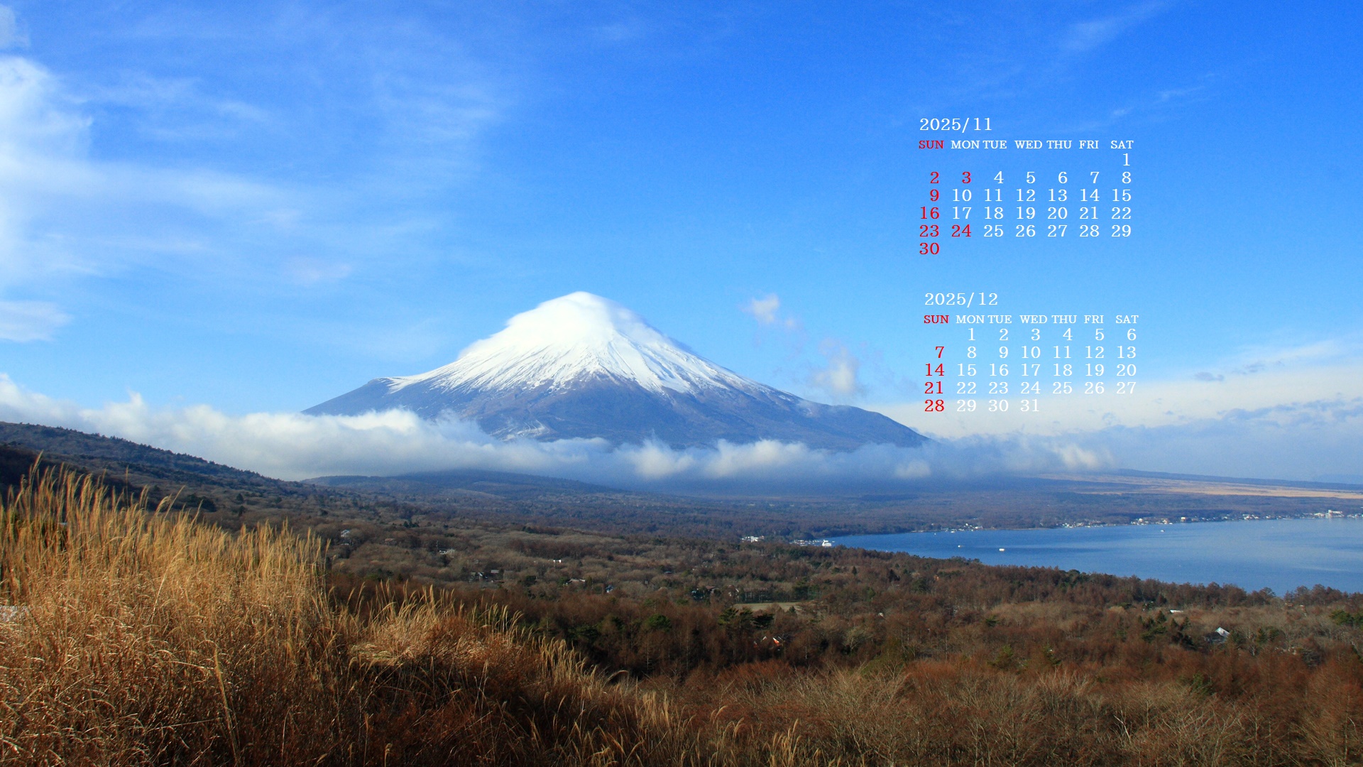 摜̏ŉENbNāuǎɐݒvAj[ɂȂꍇ͂摜ۑĉB