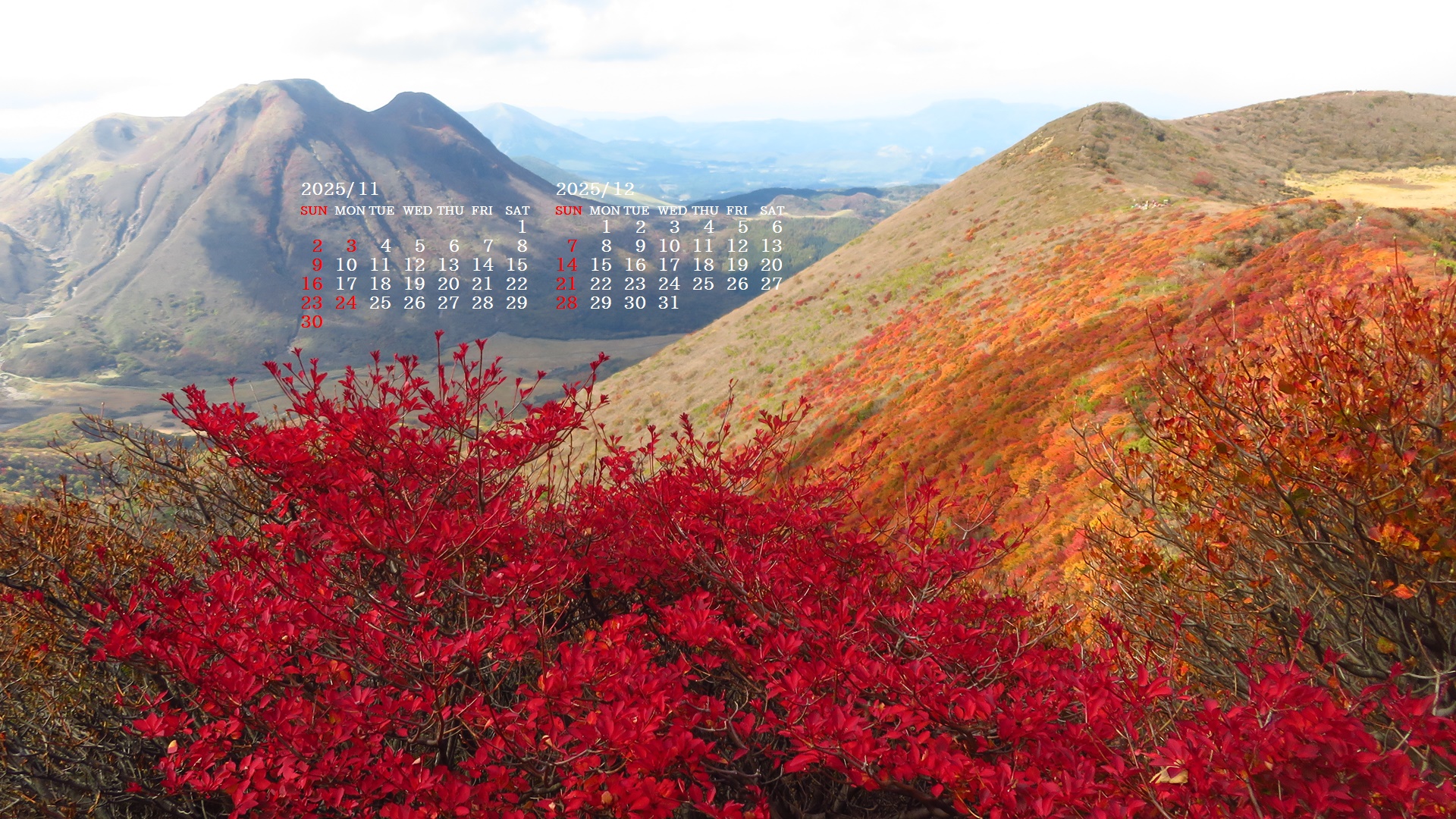 摜̏ŉENbNāuǎɐݒvAj[ɂȂꍇ͂摜ۑĉB