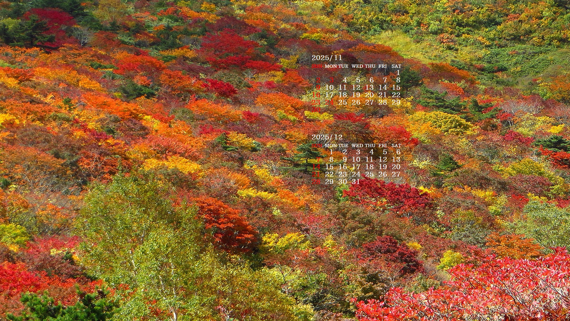 摜̏ŉENbNāuǎɐݒvAj[ɂȂꍇ͂摜ۑĉB