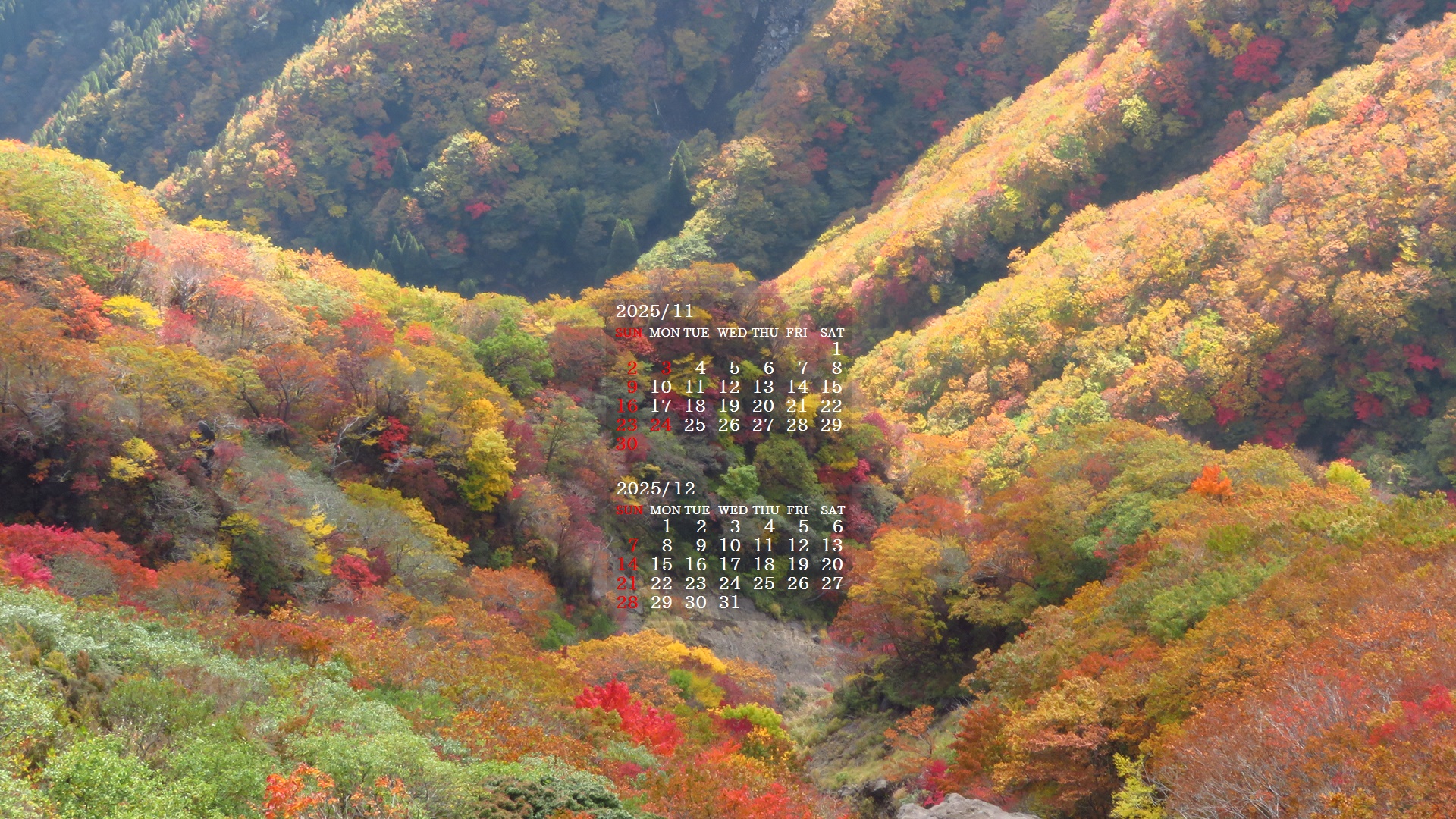 摜̏ŉENbNāuǎɐݒvAj[ɂȂꍇ͂摜ۑĉB