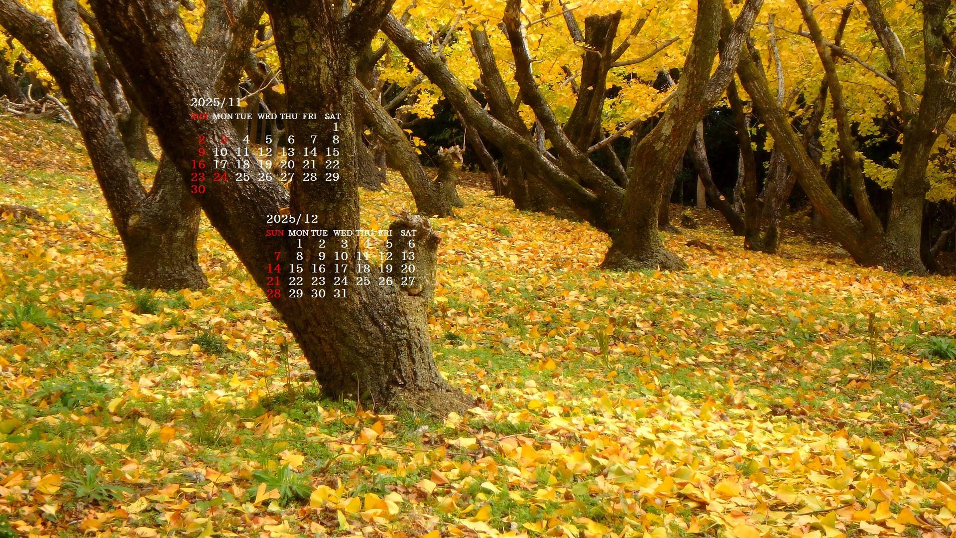 摜̏ŉENbNāuǎɐݒvAj[ɂȂꍇ͂摜ۑĉB