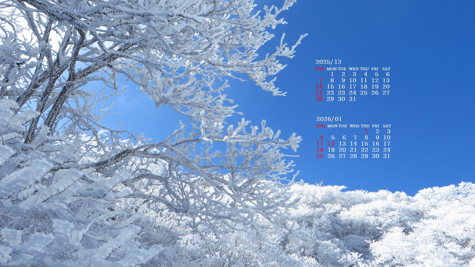 摜̏ŉENbNāuǎɐݒvAj[ɂȂꍇ͂摜ۑĉB