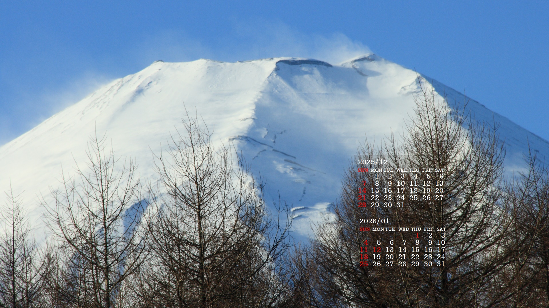 摜̏ŉENbNāuǎɐݒvAj[ɂȂꍇ͂摜ۑĉB