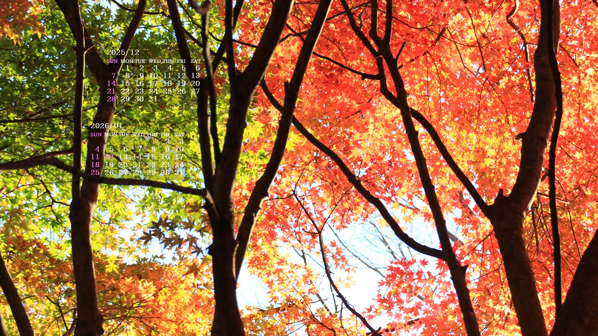 �摜�̏�ŉE�N���b�N���āu�ǎ��ɐݒ�v�A���j���[�ɂȂ��ꍇ�͂�������摜��ۑ����ĉ������B