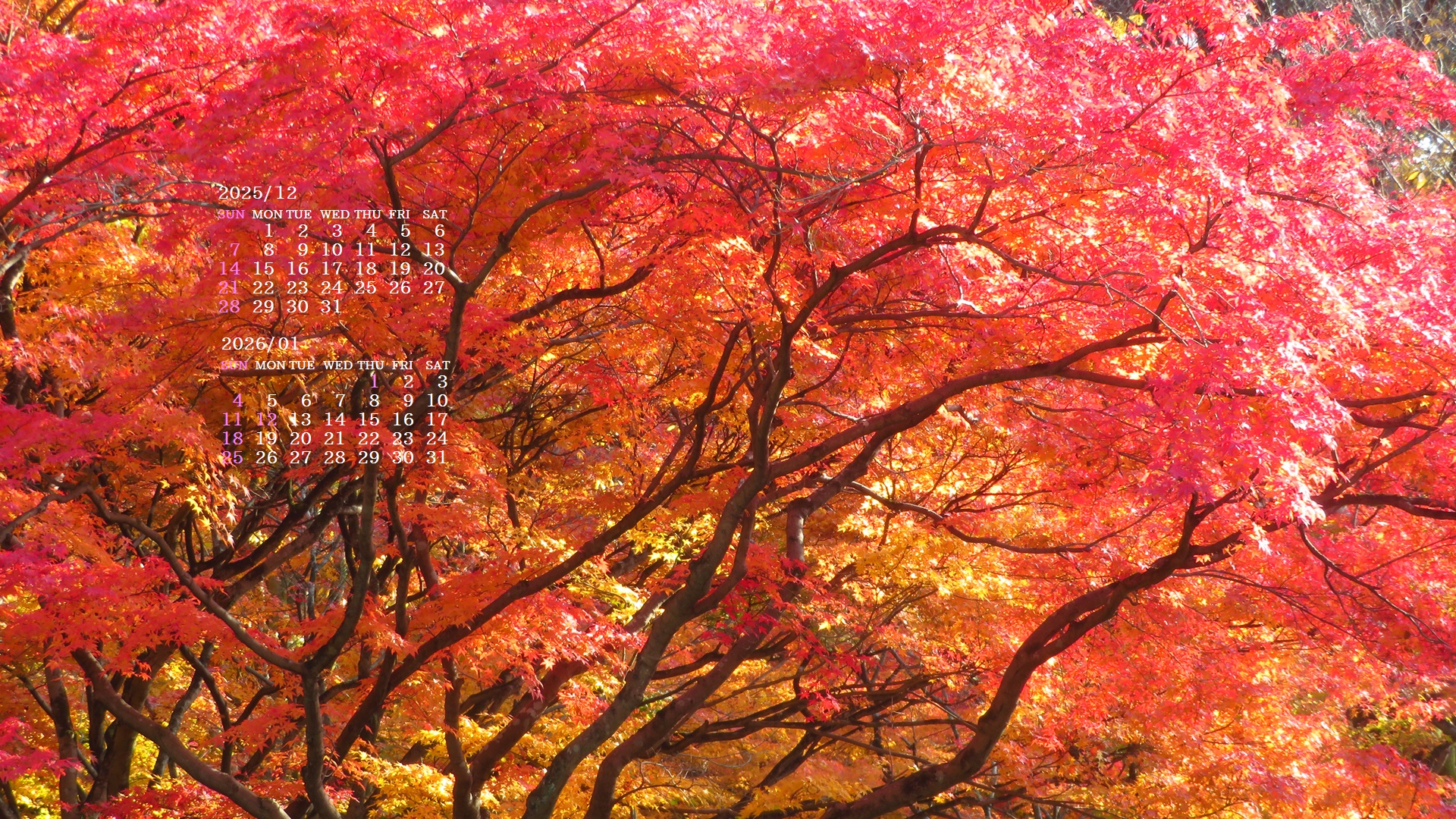 �摜�̏�ŉE�N���b�N���āu�ǎ��ɐݒ�v�A���j���[�ɂȂ��ꍇ�͂�������摜��ۑ����ĉ������B