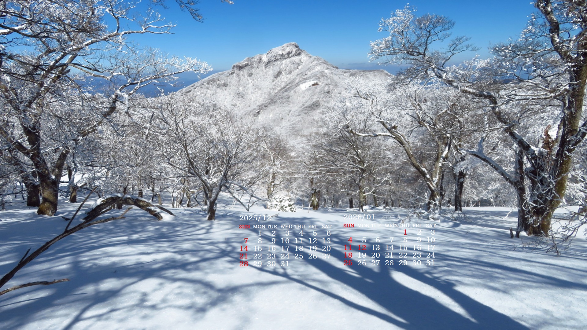 �摜�̏�ŉE�N���b�N���āu�ǎ��ɐݒ�v�A���j���[�ɂȂ��ꍇ�͂�������摜��ۑ����ĉ������B