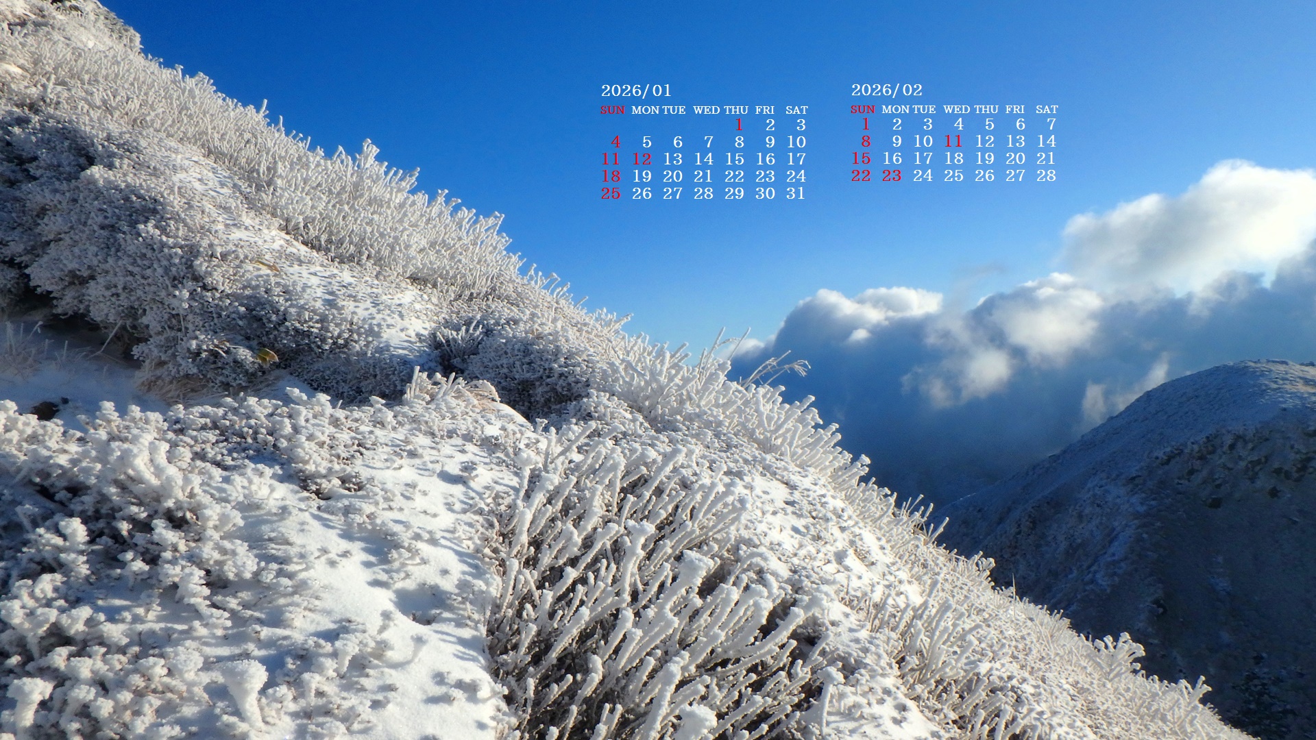 �摜�̏�ŉE�N���b�N���āu�ǎ��ɐݒ�v�A���j���[�ɂȂ��ꍇ�͂�������摜��ۑ����ĉ������B