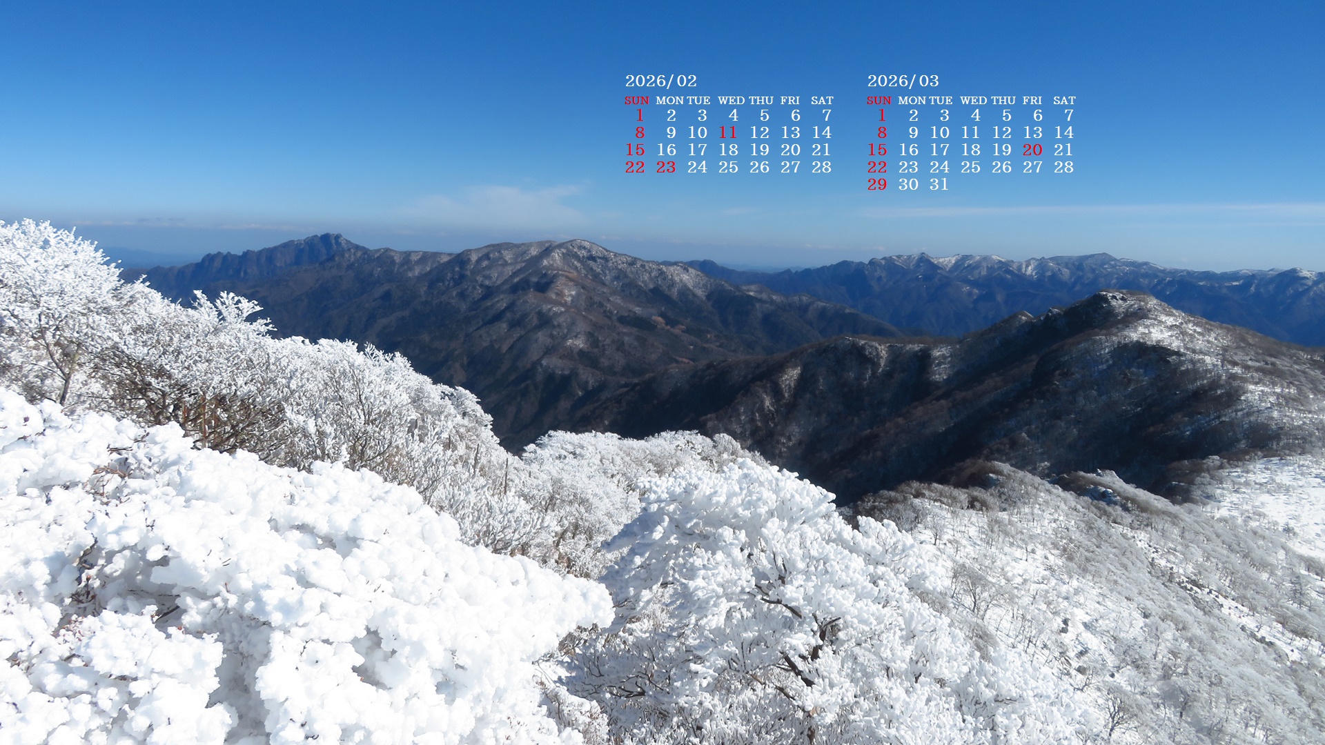 �摜�̏�ŉE�N���b�N���āu�ǎ��ɐݒ�v�A���j���[�ɂȂ��ꍇ�͂�������摜��ۑ����ĉ������B