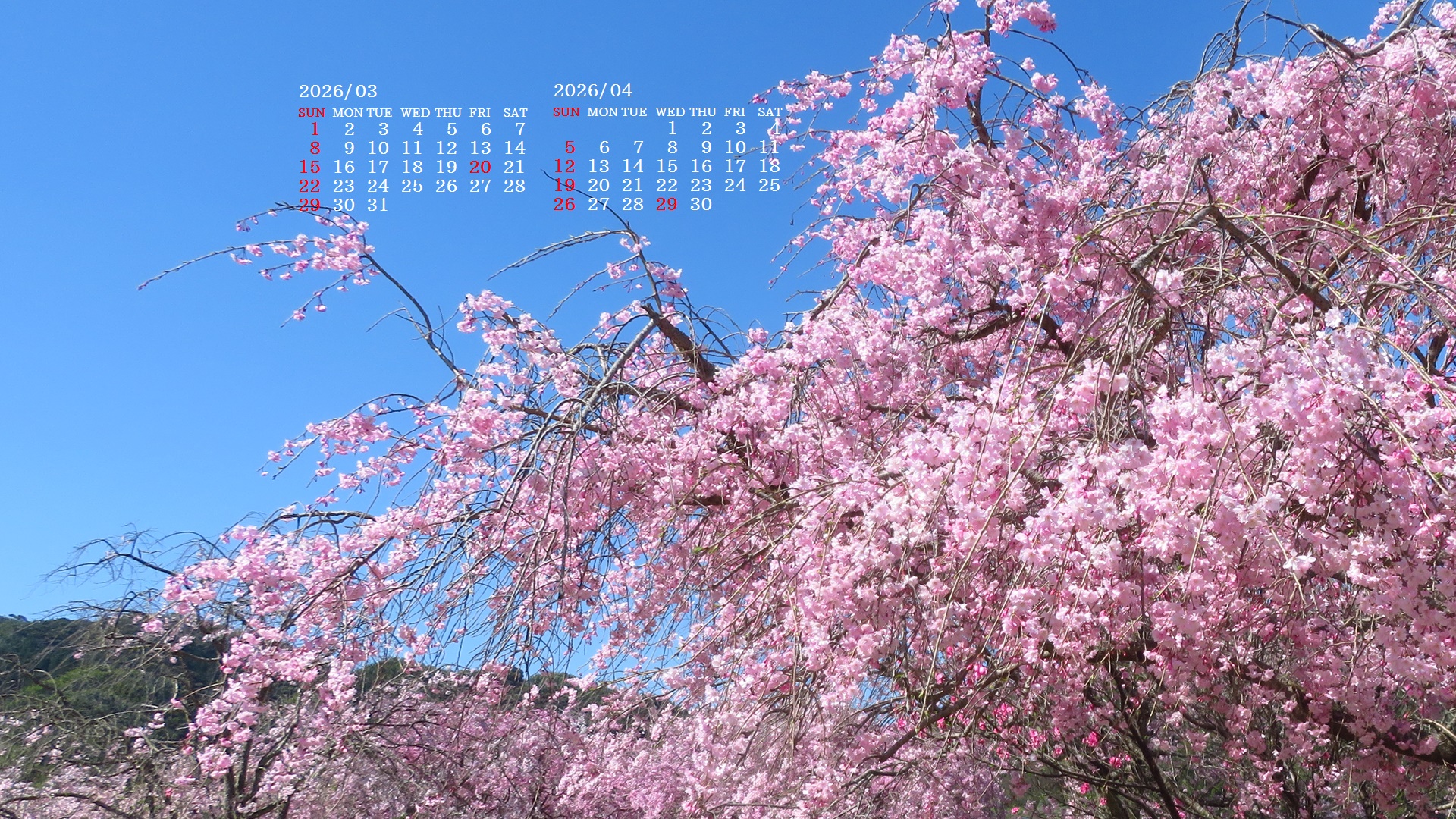 �摜�̏�ŉE�N���b�N���āu�ǎ��ɐݒ�v�A���j���[�ɂȂ��ꍇ�͂�������摜��ۑ����ĉ������B