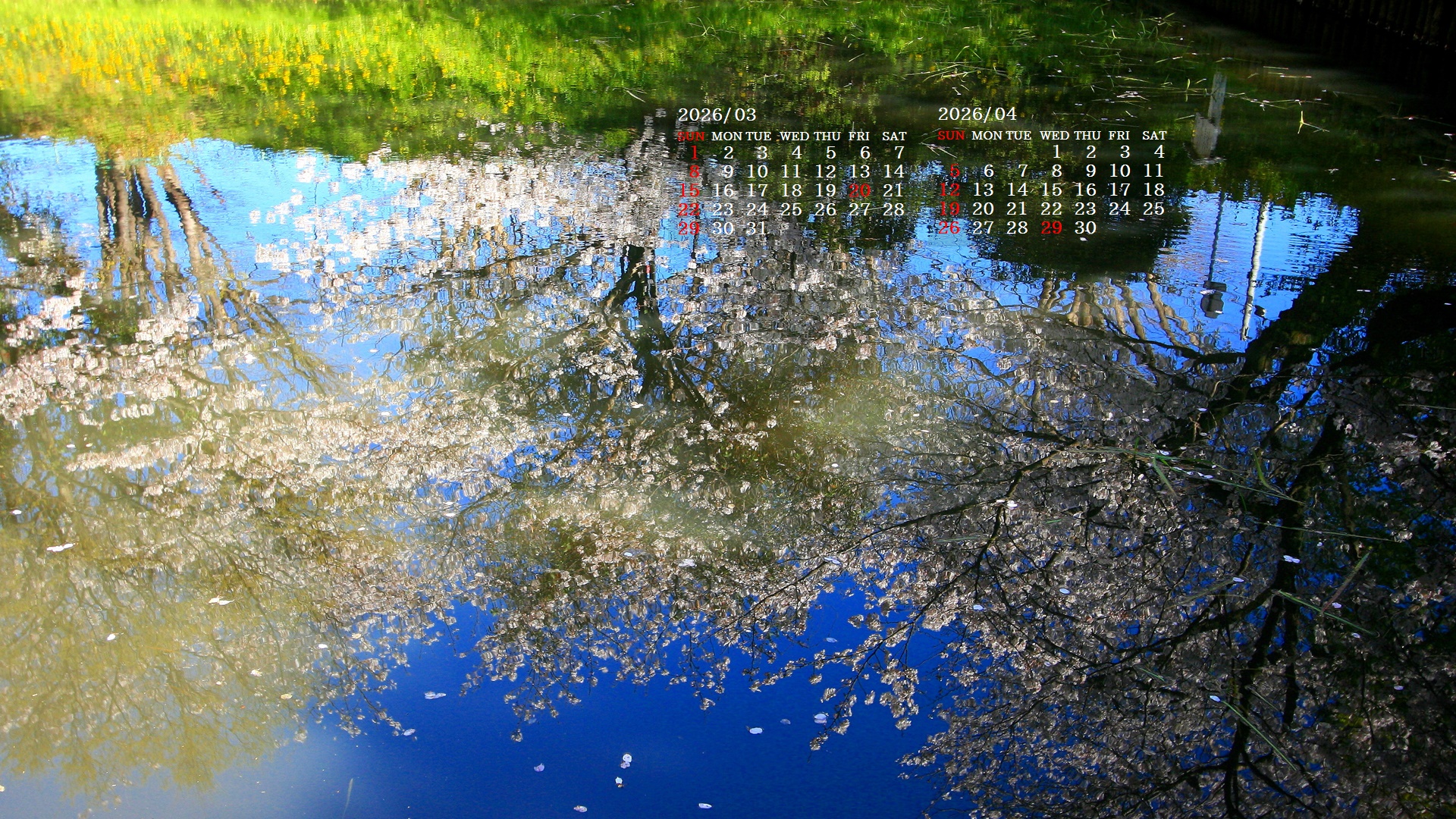 �摜�̏�ŉE�N���b�N���āu�ǎ��ɐݒ�v�A���j���[�ɂȂ��ꍇ�͂�������摜��ۑ����ĉ������B