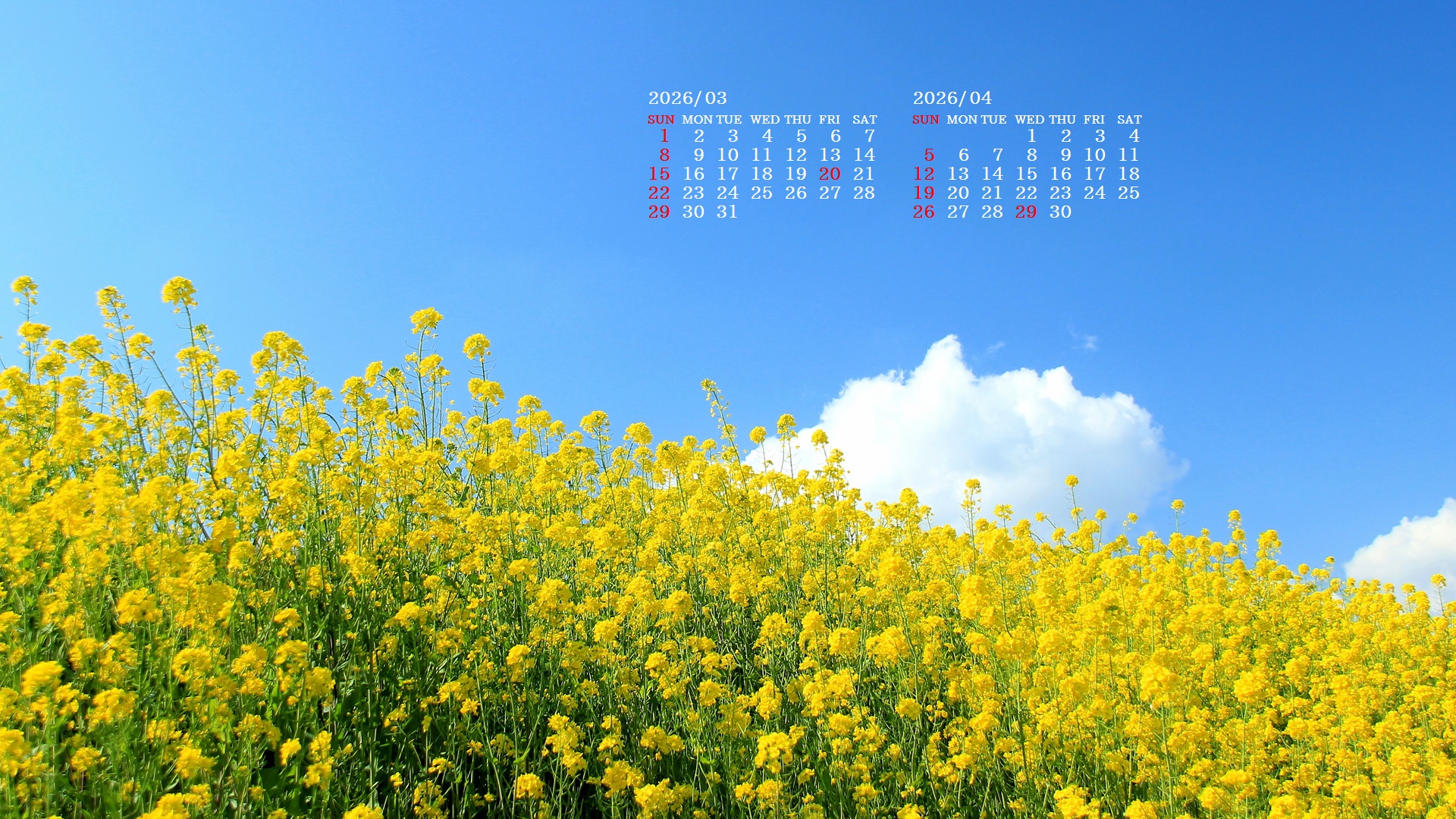 �摜�̏�ŉE�N���b�N���āu�ǎ��ɐݒ�v�A���j���[�ɂȂ��ꍇ�͂�������摜��ۑ����ĉ������B