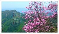 今月の無料カレンダー壁紙 21年04月 癒しの自然風景壁紙