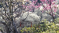 2023N03J_[ǎ025