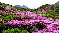 2023N06J_[ǎ003