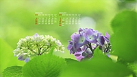 2023N06J_[ǎ005