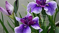 2023N06J_[ǎ007
